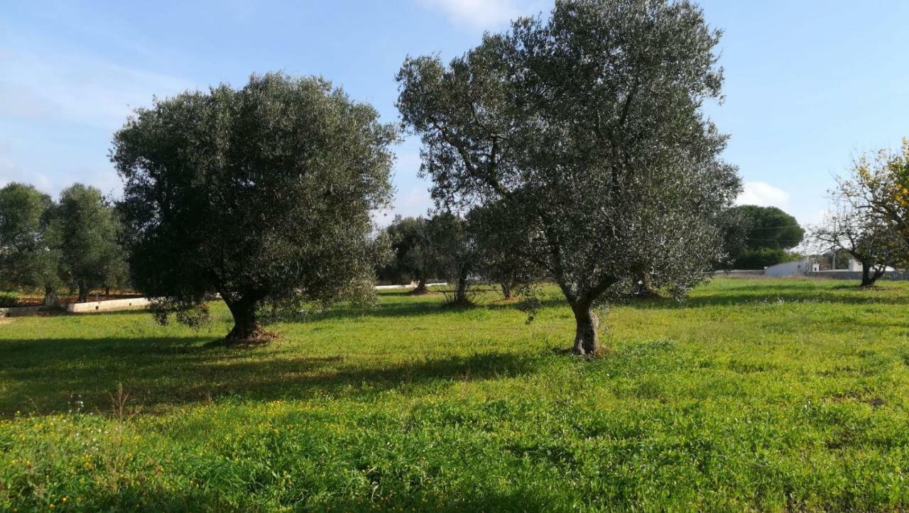 Villa Degli Ulivi Ceglie Messapica Eksteriør bilde